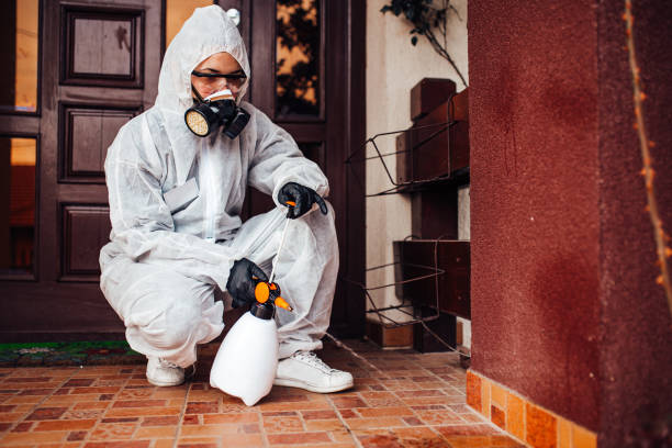 Reliable Cockroach Control contractor in Fort Leonard Wood, MO by Nex Pest Control