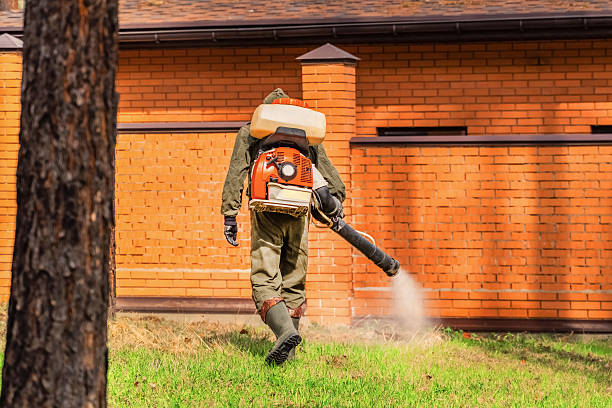 Trusted Mosquito Control service in Fort Leonard Wood, MO - Nex Pest Control